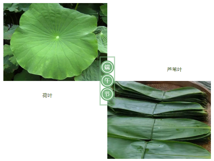 金年会医纺